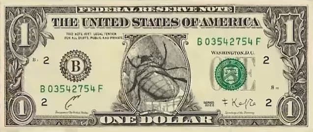 Gregor Samsa Bucks - legit pénz